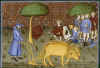 charrue1a.jpg (55660 octets)